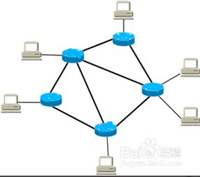 計(jì)算機(jī)網(wǎng)絡(luò) 連接世界的數(shù)字脈絡(luò)