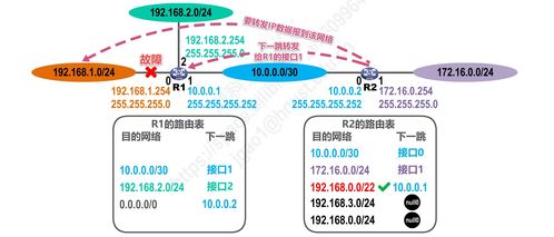 計算機網絡體系結構探析 聚焦網絡層與協議P4.2的演進